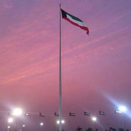 3DNAN_KW's profile picture. •