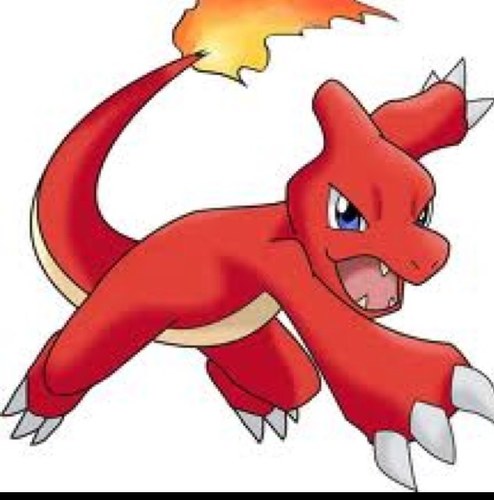 I'm Amy's Charmeleon! Charmeleon, char!