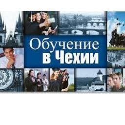 BiomedUNIVER's profile picture. Our study programs  „Biomedical Engineering“
„Systematic Integration Processes in Health Care“
„Biomedical and Clinical Engineering“