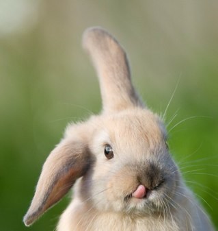 SigizPter's profile picture. 