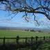 RyedaleFamilyHistory (@ryedalefamilies) Twitter profile photo RyedaleFamilyHistory (@ryedalefamilies) Twitter profile photo