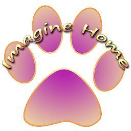Imagine Home facilitates rescue, adoption &  transport of homeless cats.  http://t.co/ojRBESkW0v