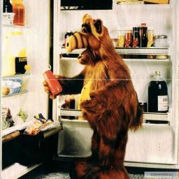 DumpsterLA's profile picture. 