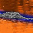 randy casteel - @pocix2 - Twitter