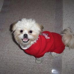 JA195279's profile picture. tired