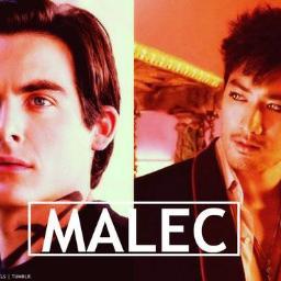 αlec & mαgทusさんのプロフィール画像