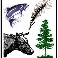 Culture Agriculture (@cultureandag) 's Twitter Profile