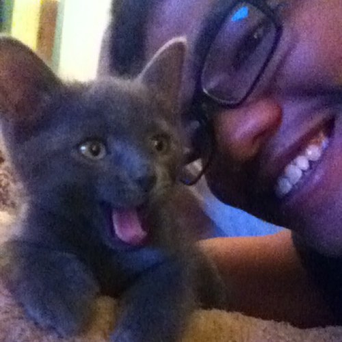 Shneeki's profile picture. 