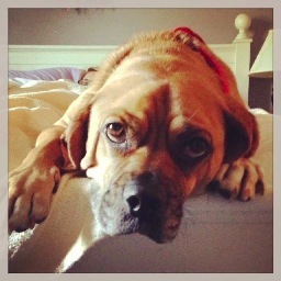 MooseMefford's profile picture. 