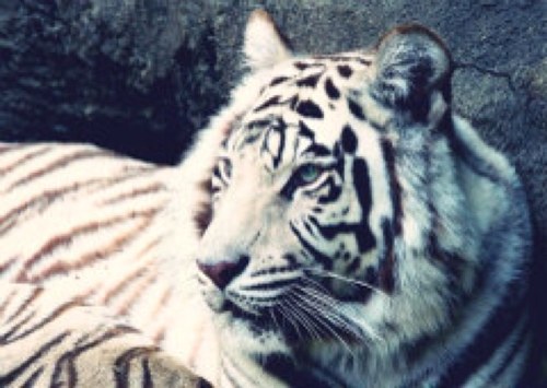 ksmt_06's profile picture. 