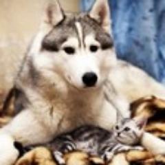 moca755's profile picture. 소소한이야기에 대해서 나눠봐요 선팔주시면 바로 100% 맞팔가요!