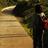 Ross_CasMe's profile image