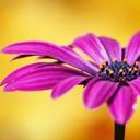 Jackie Meyer - @almostfamous710 - Twitter