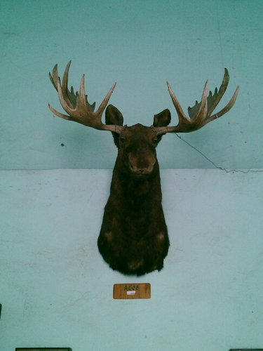 luis7626's profile picture. 