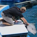 Eric Trent - @thegrizz302 - Twitter