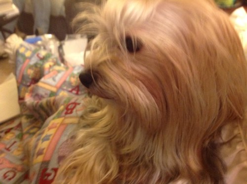 Oregonquacker's profile picture. 