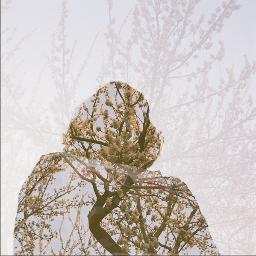 angelamoonshine's profile picture. 