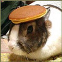 hogyjeba (@hogyjeba) 's Twitter Profile