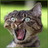 xejijipu's profile image