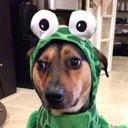 Daniel Kaufman - @dgkaufman1 - Twitter