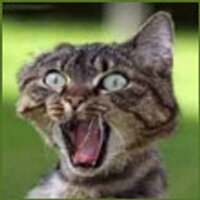 bydamizirp (@bydamizirp) 's Twitter Profile