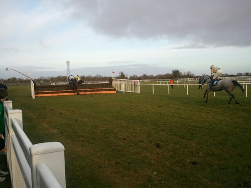 edplant72's profile picture. luv horse racing head curator Caulfield grammar