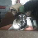 Kathy Tipton - @ktipton - Twitter