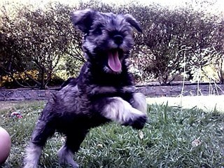 Baselinedata17's profile picture. 