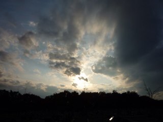 miyabikodosu's profile picture. 