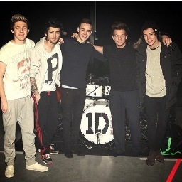 Deeply in love with Zayn-Niall-Liam-Louis-Harry. 5 brothers in One Direction. Directioner forever!