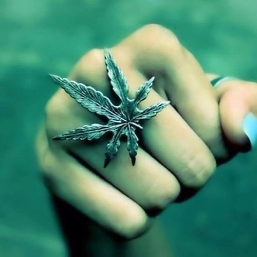 gonedarasta's profile picture. когда вдруг у меня все станет ахуенно у меня станет и сердце ▲ порой в грешниках больше святого чем в преподобных