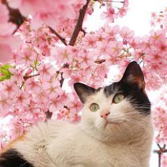 jackson6768's profile picture. 