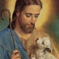 Liebe Jesus,meine Familie, meinen Garten, unseren Hund - in dieser Reihenfolge bitte. Jesus Christus ist die Nr. 1 in meinem Leben. Ich danke unserem Herrn.