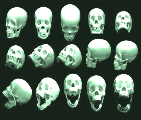 GrantWrites's profile picture. Australian writer of Flash Fiction, Short Stories and currently embarking on an adventurous novel. Inspired by Fiction, Fantasy, and Life.