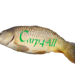 Carp4All's profile picture. Carp4All is brought to you by Ollie & Ashley. Check out our website and our YouTube channel. Co-owners of KJBoilies.
