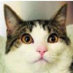 SussexWillow's profile picture. My name is Willow.
Live in England. Social Commentator. Public Speaker.