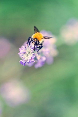 ds4nng's profile picture. 구름에 달가듯 하늘에 구름지나가듯