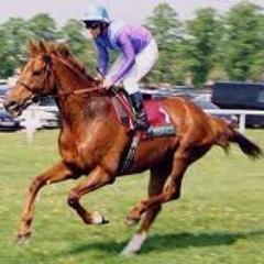 Formstudy's profile picture. Huge horse racing and football fan. Will post daily selections to hopefully make a profit
