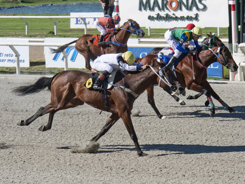 La historia comenzo 2/12/12 siguio el 3/2/13..Soy el unico caballo del Stud TW No me estreso, x eso me llamo #Despejado.Y ya veran, el Ramirez2014 vamo a ganar