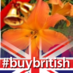 Pollie Maasz (@pollieslilies) Twitter profile photo Pollie Maasz (@pollieslilies) Twitter profile photo