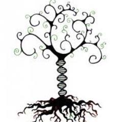 eDuCaLBeRTo's profile picture. Profesor de Ciencias en el C.E.S. S. Ramón y Cajal. Ldo. en Biología por la UGR, con Máster en Educación por la misma universidad.