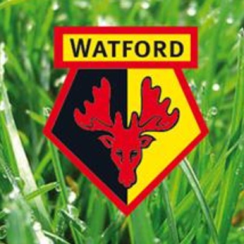 Watford 3-1 Leicester City