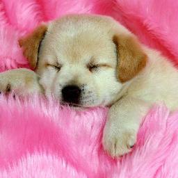 facebookguide1's profile picture. We are giving best guidence about facebook.