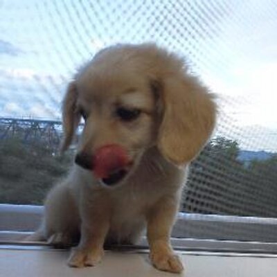 むさこ