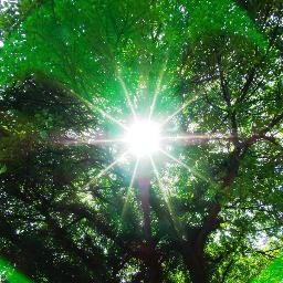 ともかく、名言が大好きなので、名言を普及して、幸せになる人をふやしたいと思っています。