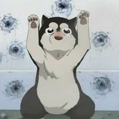 ブラックハヤテ号 Blhayatego Twitter ブラックハヤテ号 Blhayatego Twitter