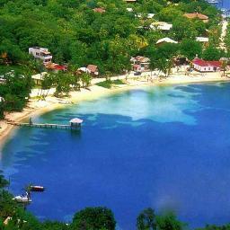 edyj's profile picture. 