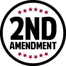 2ndAmendmentDoc's profile picture. Follow James Dann as he explores the impact and consequences of the Second Amendment and gun control laws in modern America. It's time to uncover the truth...
