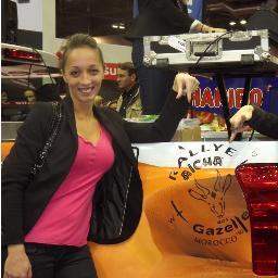 Mon projet: participer à une aventure unique et haute en couleur: Le Rallye Aïcha des Gazelles en 2014!