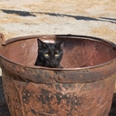 Raul Guardado - @sombraguardado - Twitter